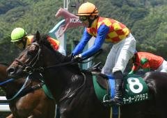 🏇 코쿠라 경마장 (小倉競馬場) 이미지 12